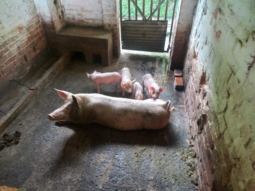 WhatsApp Image 2025-01-10 at 3.43.15 PM