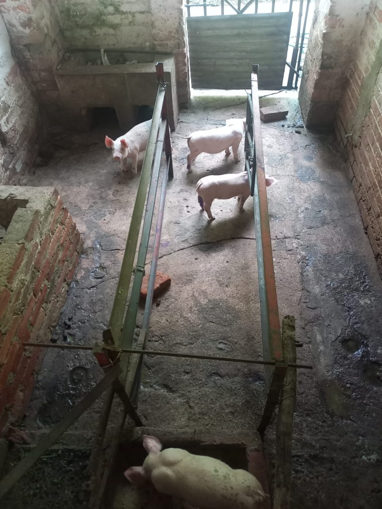 WhatsApp Image 2025-01-10 at 3.43.17 PM