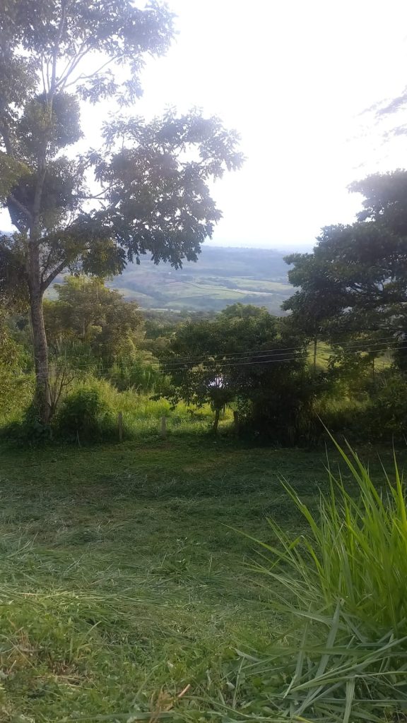 WhatsApp Image 2025-01-10 at 3.43.19 PM (1)