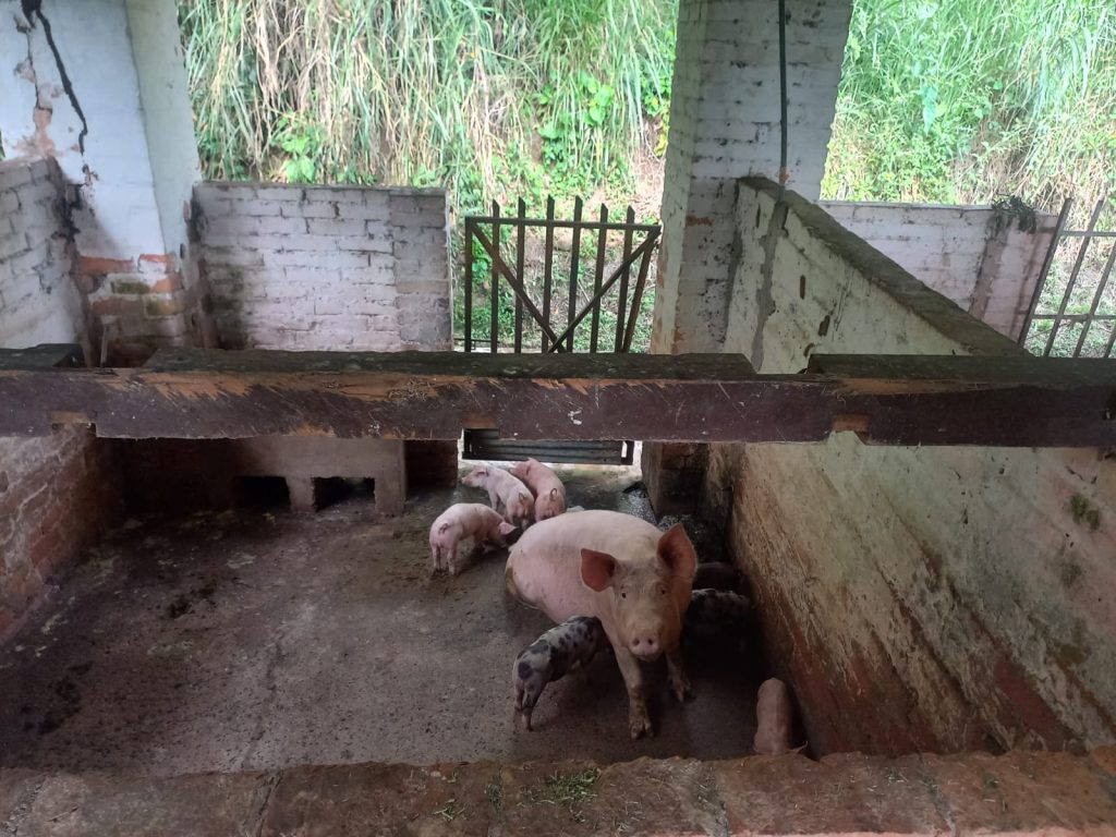 WhatsApp Image 2025-01-10 at 3.43.19 PM